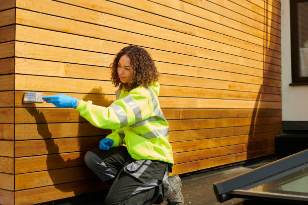 Professional Siding in Rockwood, MI